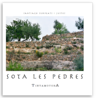 Sota les pedres de Santiago Subirats